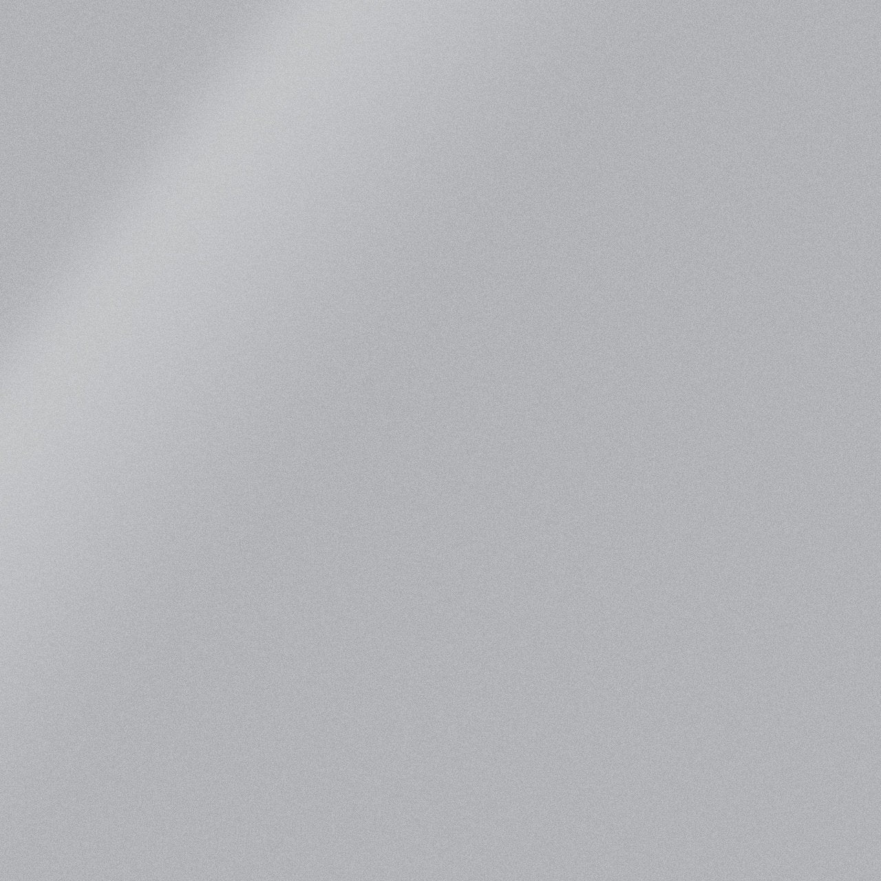 Silver Caliper Paint Color